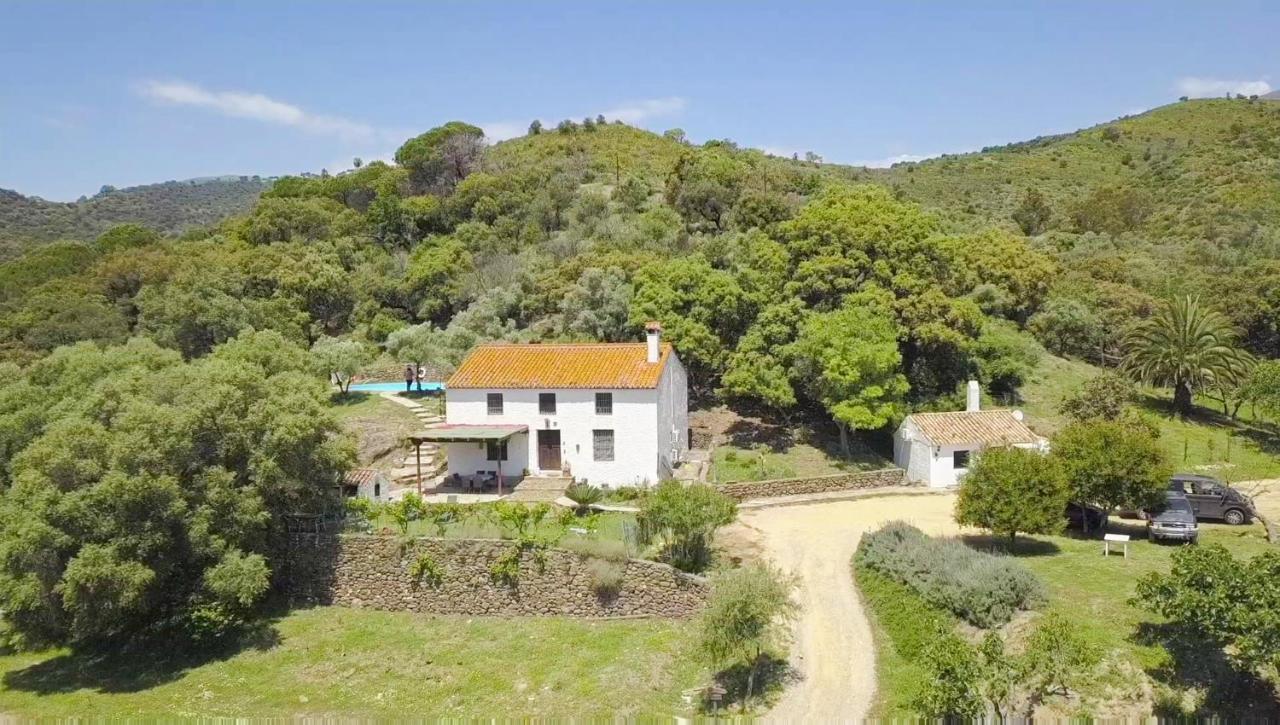 Finca Sta Teresa, Casa Grande Estepona Dış mekan fotoğraf