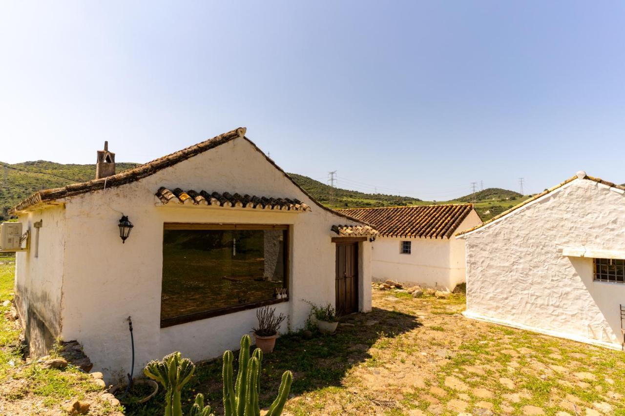 Finca Sta Teresa, Casa Grande Estepona Dış mekan fotoğraf
