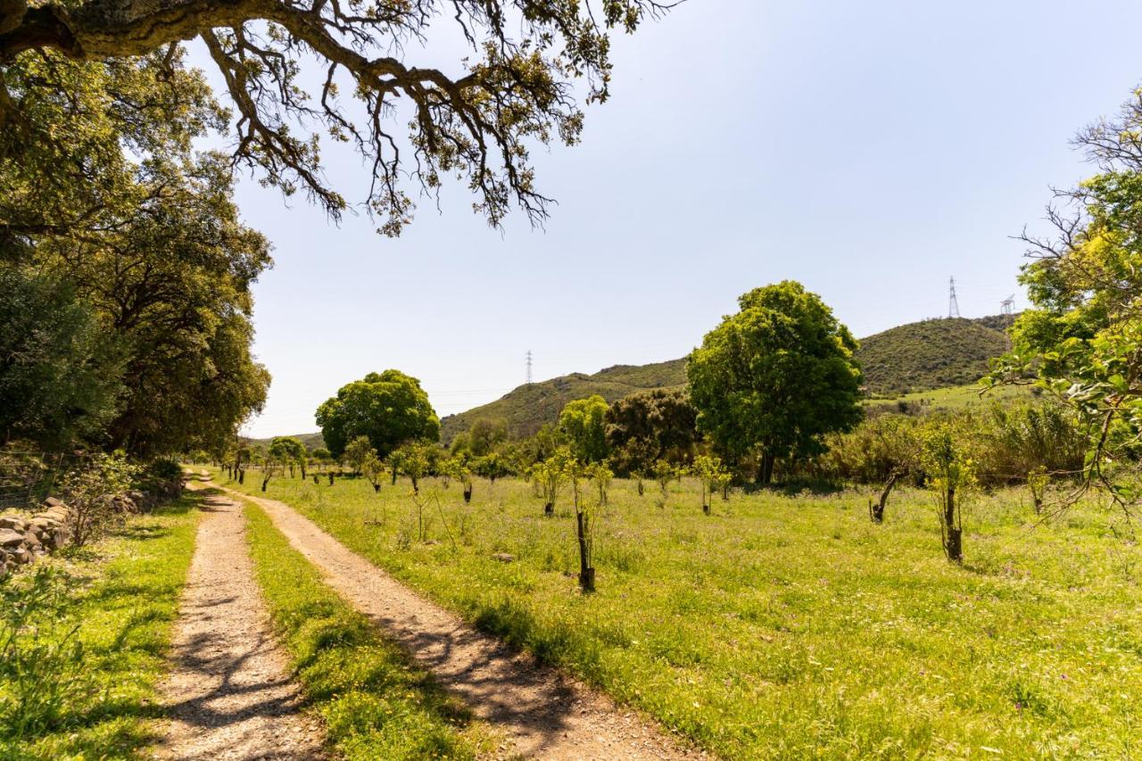 Finca Sta Teresa, Casa Grande Estepona Dış mekan fotoğraf