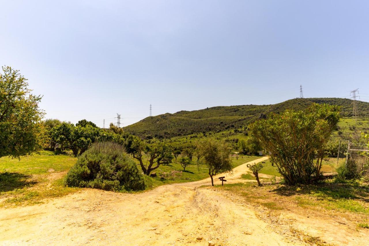 Finca Sta Teresa, Casa Grande Estepona Dış mekan fotoğraf