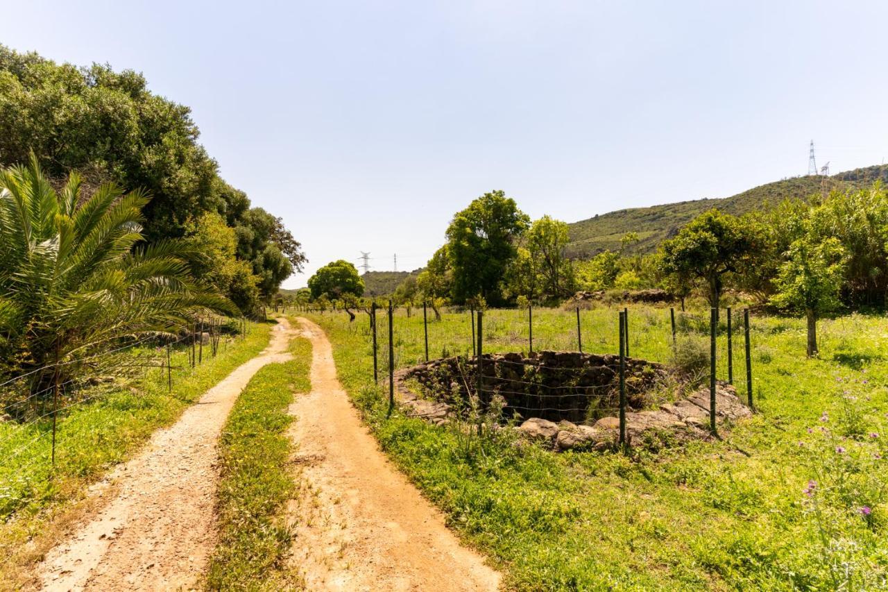 Finca Sta Teresa, Casa Grande Estepona Dış mekan fotoğraf