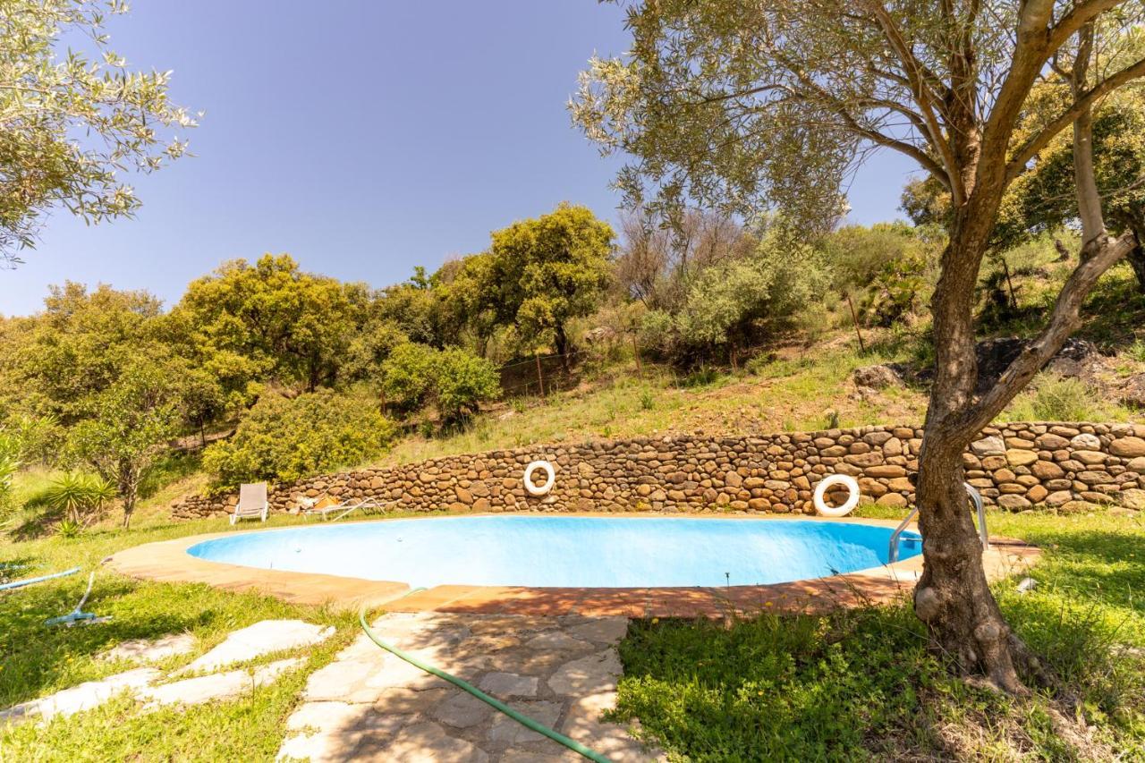 Finca Sta Teresa, Casa Grande Estepona Dış mekan fotoğraf