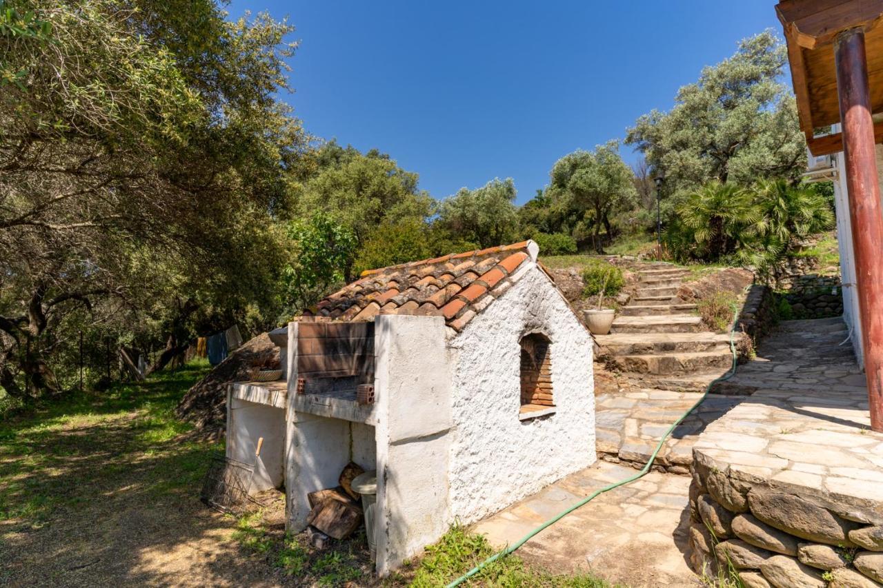 Finca Sta Teresa, Casa Grande Estepona Dış mekan fotoğraf