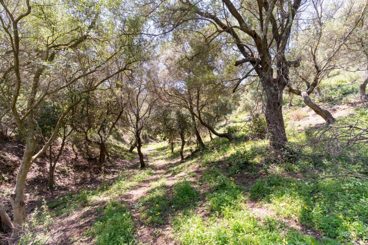 Finca Sta Teresa, Casa Grande Estepona Dış mekan fotoğraf