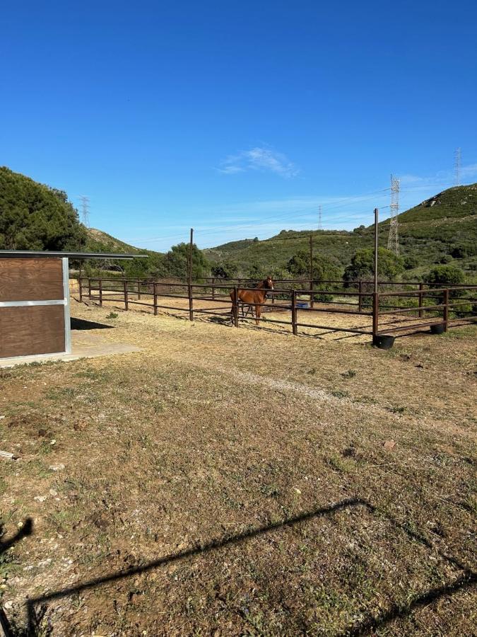 Finca Sta Teresa, Casa Grande Estepona Dış mekan fotoğraf
