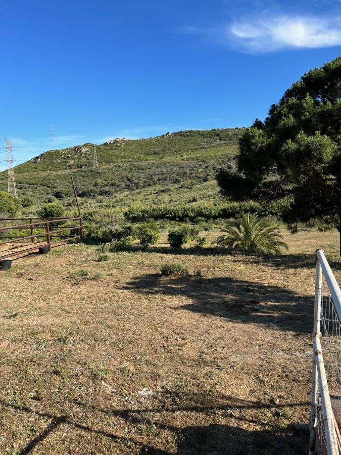 Finca Sta Teresa, Casa Grande Estepona Dış mekan fotoğraf